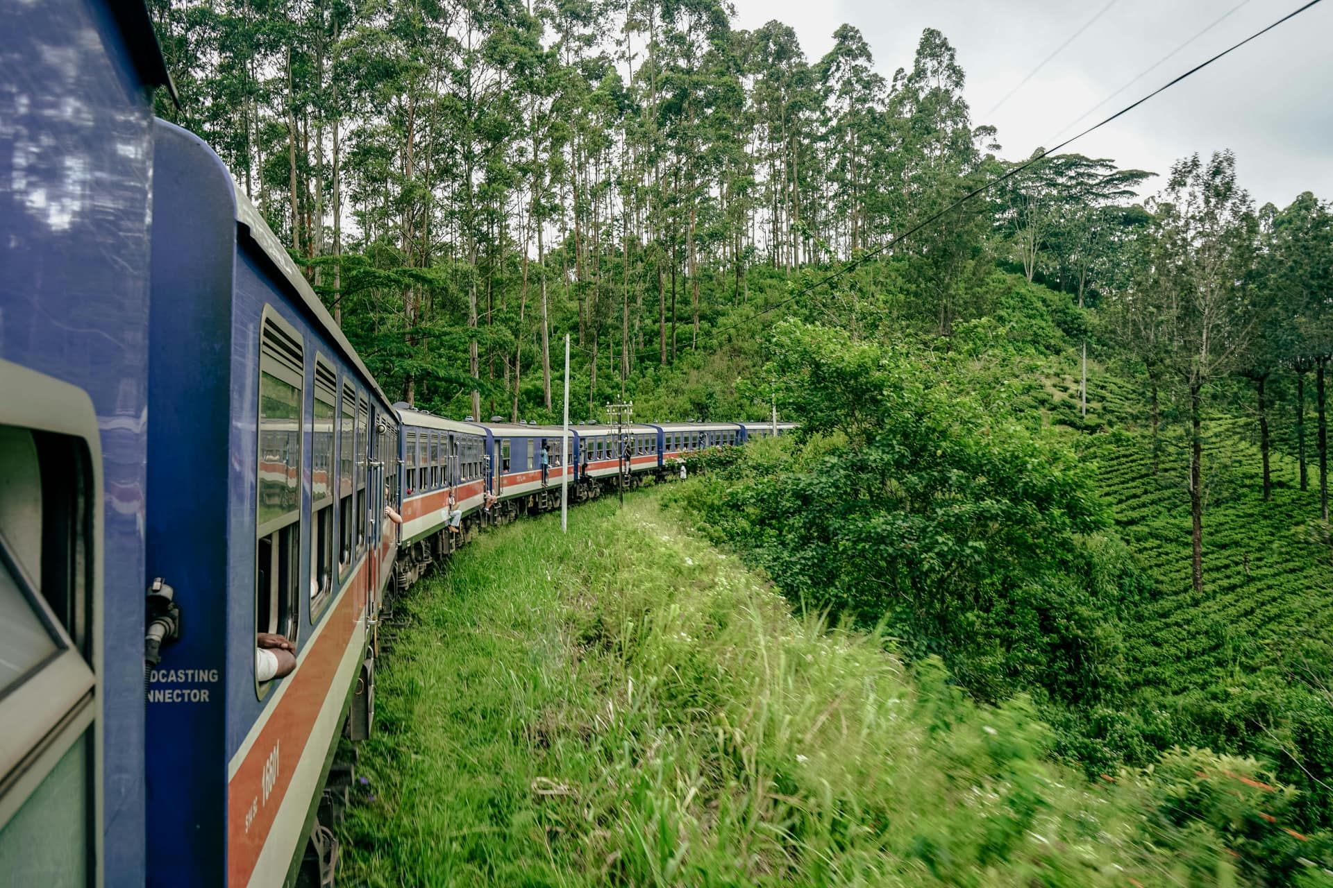 Disability and Accessibility in Sri Lanka: A Guide for American Travellers — Sri Lanka travel story by Lankan Stays & Trails