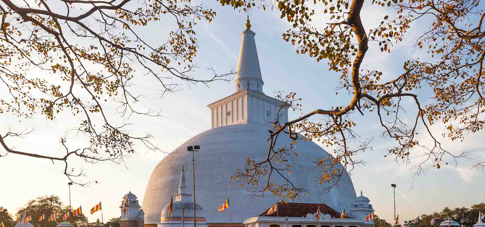 Mihintale: Where Buddhism Arrived in Sri Lanka — Sri Lanka travel story by Lankan Stays & Trails