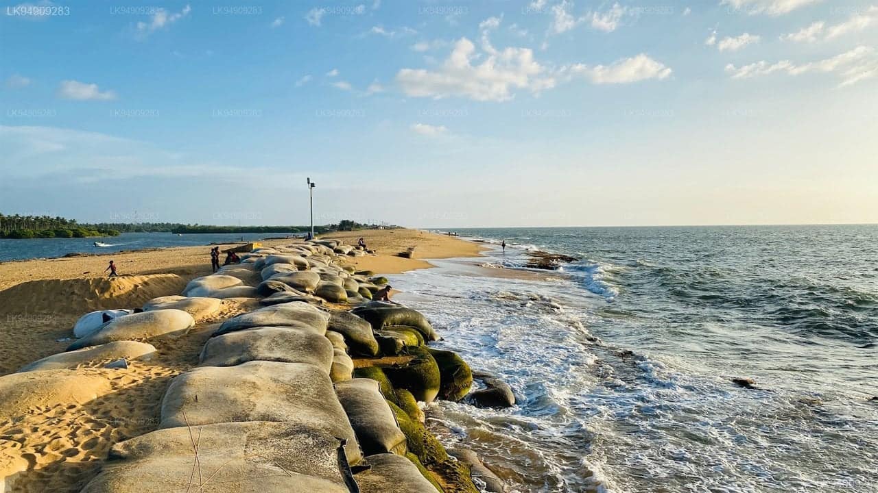Kalpitiya: Kitesurfing Seasons, Lagoons & Dolphin Pods — Sri Lanka travel story by Lankan Stays & Trails