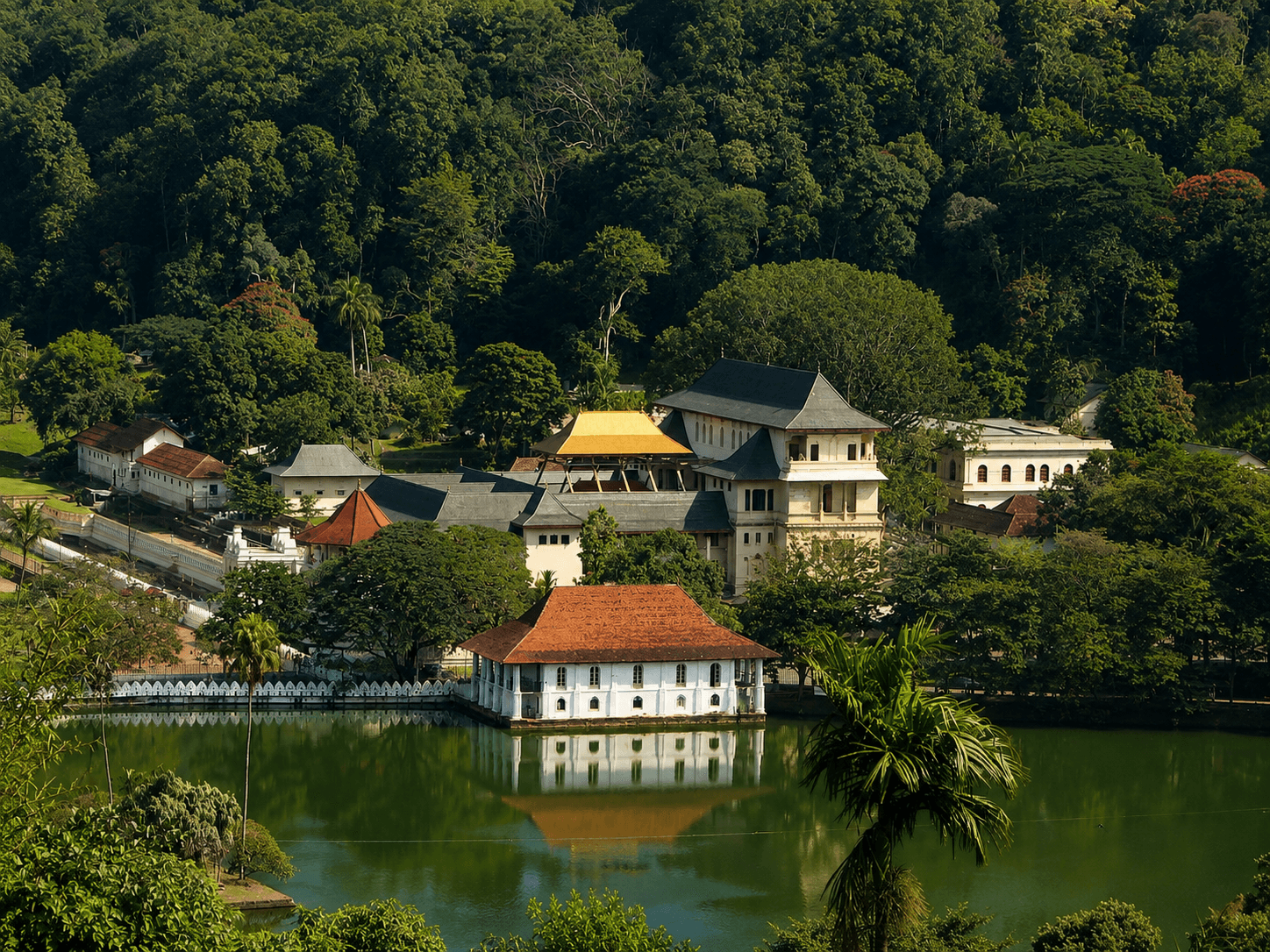 Hikes Around Kandy: Forests, Ridges & Tea Ridges — Sri Lanka travel story by Lankan Stays & Trails