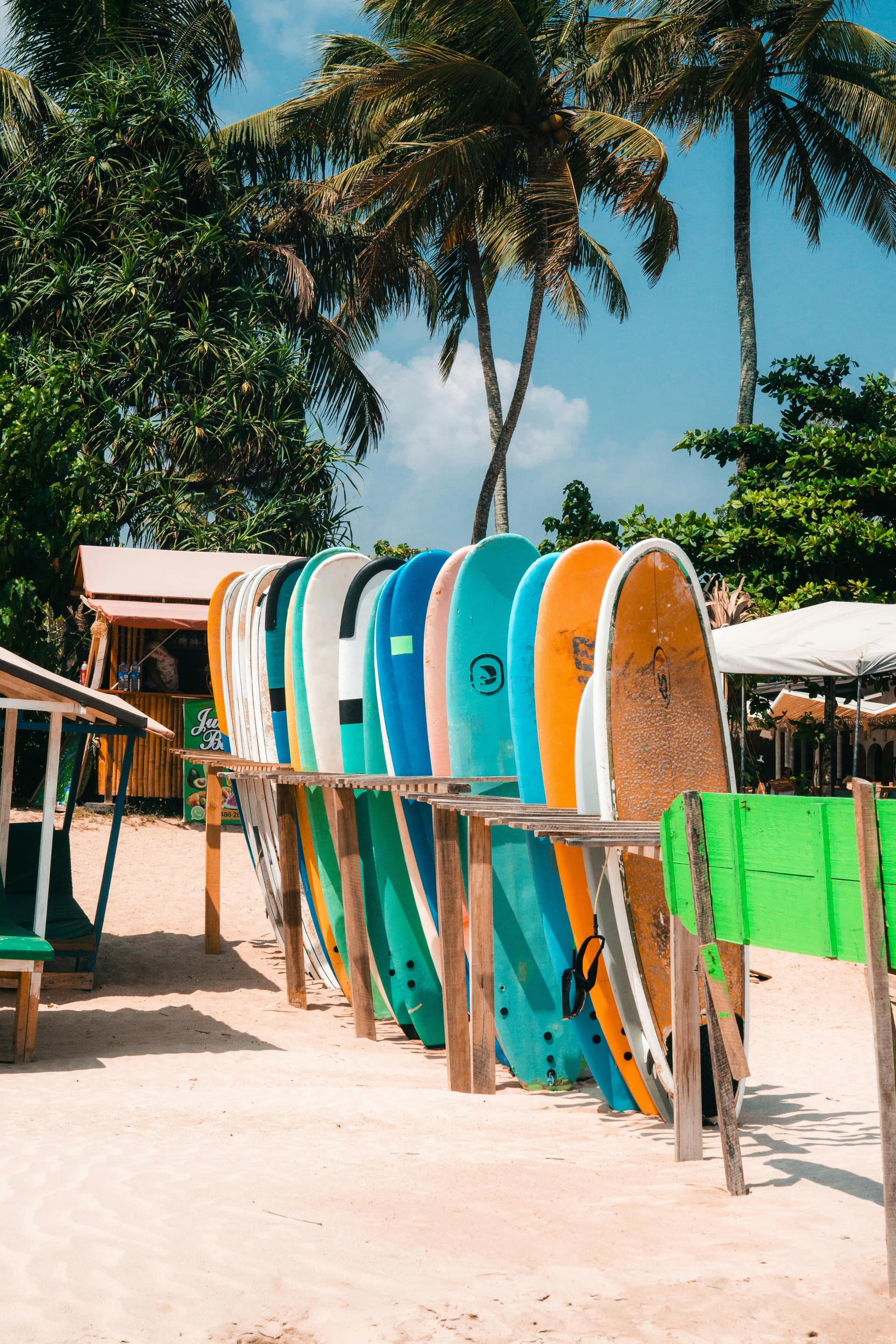 Mirissa, South Coast, Sri Lanka — Classic Sri Lanka Highlights