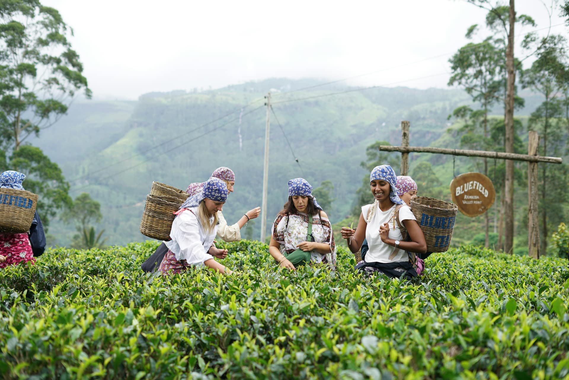 What a 5-Day Sri Lanka Tour Looks Like — Sri Lanka travel story by Lankan Stays & Trails