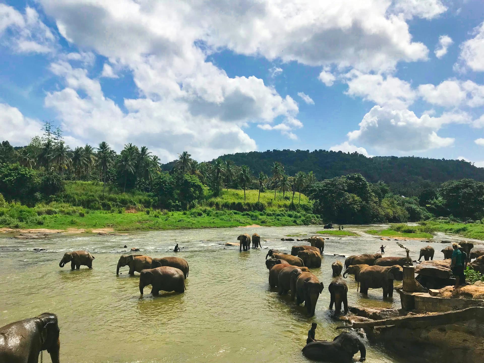 Using Uber and PickMe in Sri Lanka: American Travellers' Guide — Sri Lanka travel story by Lankan Stays & Trails