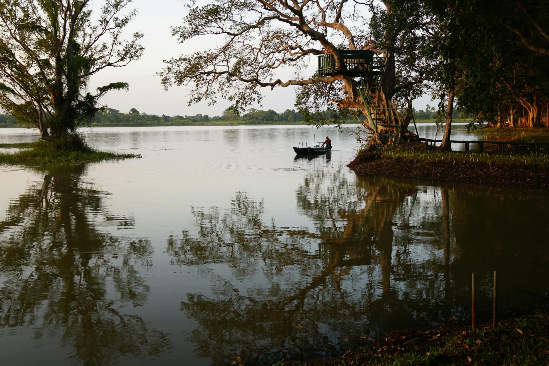 A 5-Day Elephant Itinerary for Sri Lanka — Sri Lanka travel story by Lankan Stays & Trails