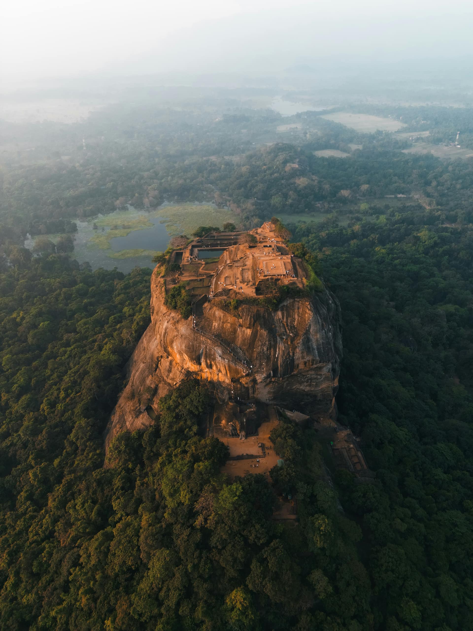 King Coconut: Why Thambili Is Everywhere in Sri Lanka — Sri Lanka travel story by Lankan Stays & Trails