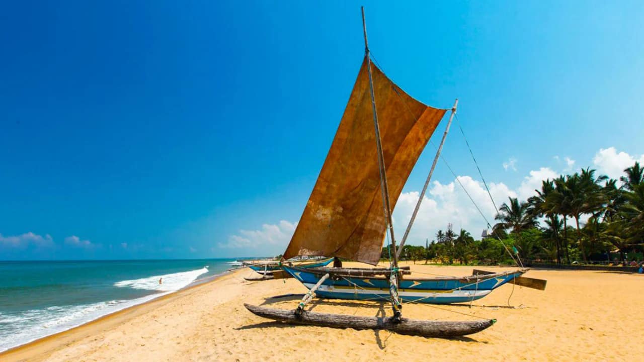 Sri Lanka's Markets: Pettah, Negombo & the Morning Auction — Sri Lanka travel story by Lankan Stays & Trails