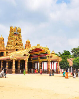 Jaffna Tour Specialist Sri Lanka