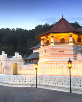 Kandy Day Tour Packages Sri Lanka