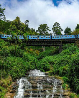 Nanu Oya Sri Lanka Train Tour