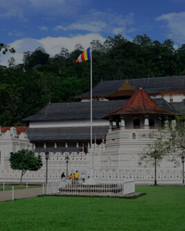 Sri Lanka Tour Itinerary Kandy