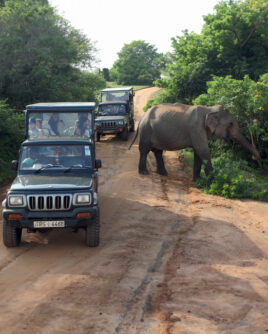 Sri Lanka Tour Itinerary Yala National Park