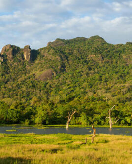 Gal-Oya-Tour-Specialist-Sri-Lanka
