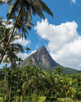 Knuckles-Mountain-Sri-Lanka