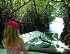 Mangrove-Canoe-Ride