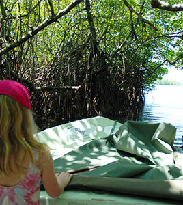 Mangrove-Canoe-Ride