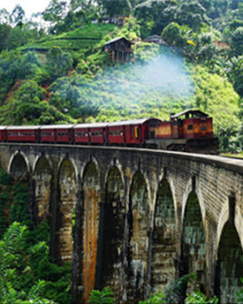 Nine-Arch-Bridge-Sri-Lanka