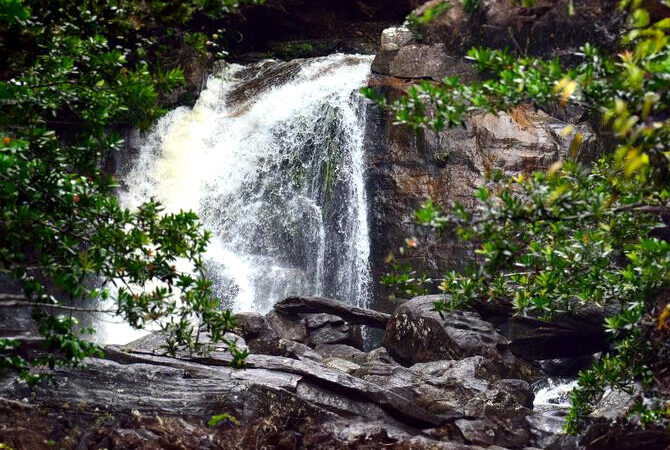 Sinharaja-Tour-Package-Sri-Lanka
