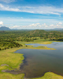 Sora-Bora-Lake-Sri-Lanka