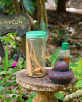 Spice-Gardern-Sri-Lanka