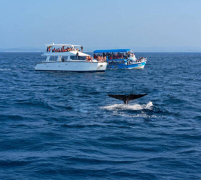 Coastal Adventures and Iconic Landscapes