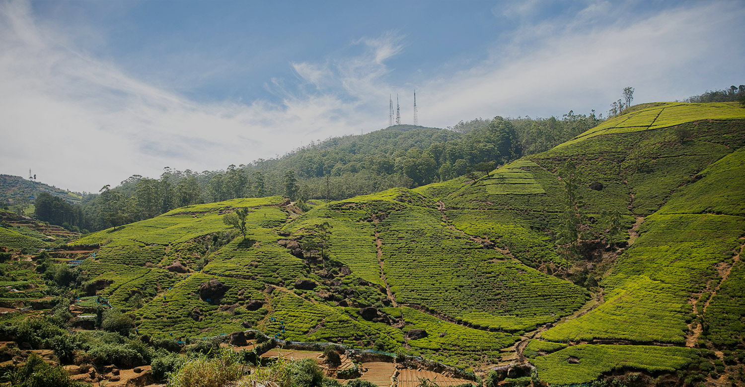 Sri Lanka Travel Agent