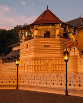 Temple-of-the-Tooth-Relic-Evening-Ceramony